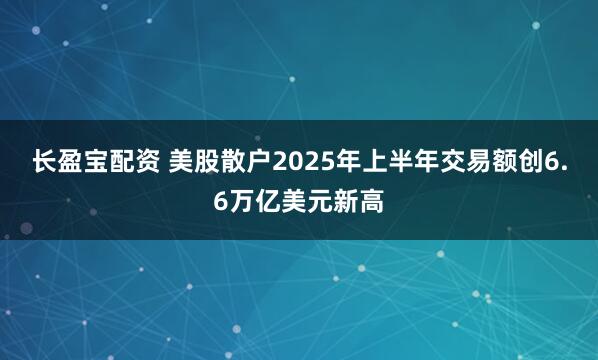 长盈宝配资 美股散户2025年上半年交易额创6.6万亿美元新高